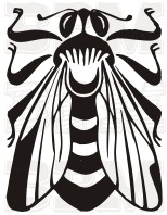 /album/fotogaleria-hmyz/hmyz-31-jpg/